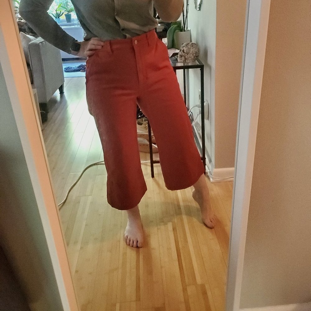 Everlane Wide Leg Crop Pant